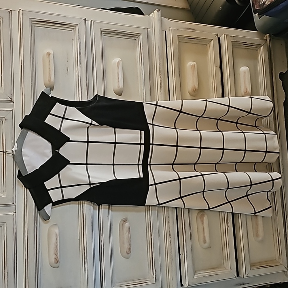 Ann Taylor Loft dress